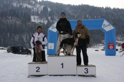 Lenk 2012 SM